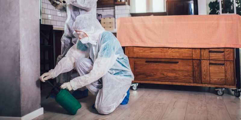 Dedetização em Apartamento Como Funciona em São Bernardo do Campo: Confira 4 Passos